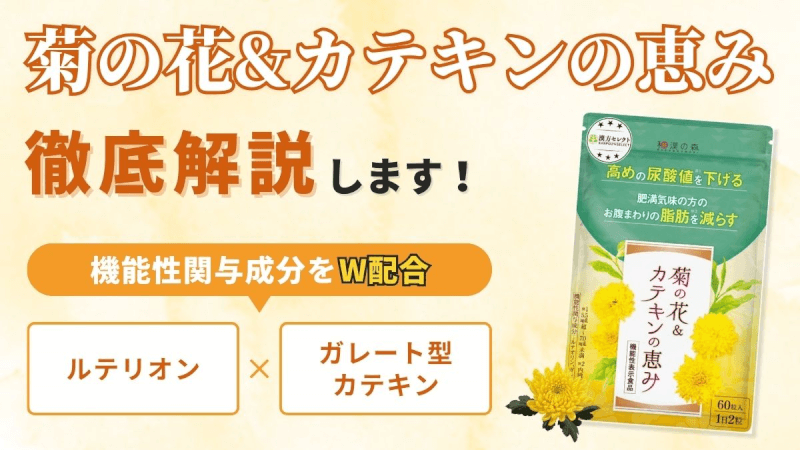 菊の花&カテキンの恵みの口コミ評判を徹底調査【効果が気になる人必見】